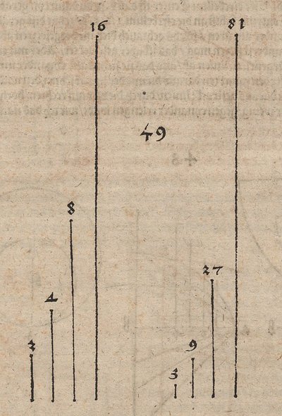 Graphischer Vergleich zweier Potenzfunktionen mit den Basen von Albrecht Dürer